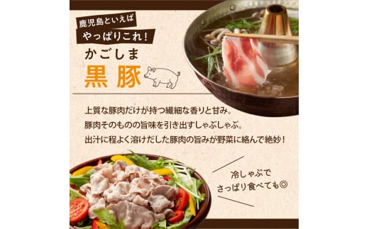 【岩元精肉店】鹿児島県産黒毛和牛・かごしま黒豚　味わい2か月お届けコース　K045-T03