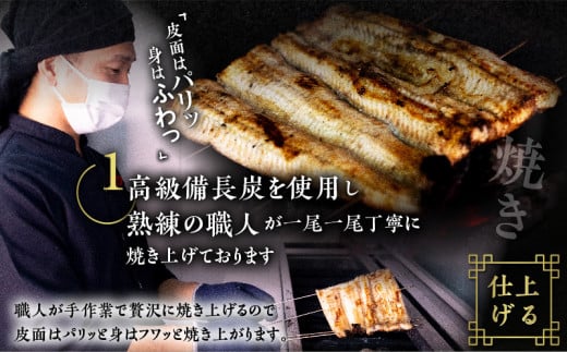 薩摩大とろ鰻蒲焼特大サイズ一尾　K190-002