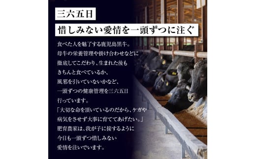 （Ｅ-1301）鹿児島黒牛すきやき食べ比べセット 計1.2kg　K127-005