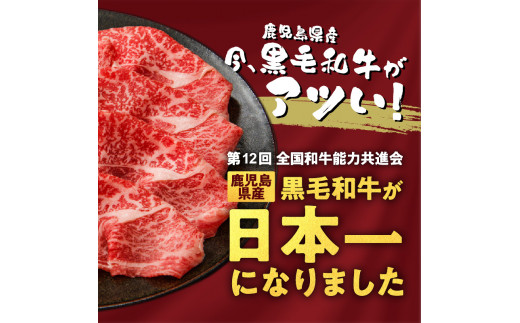 【岩元精肉店】鹿児島県産黒毛和牛ビーフシチューと鹿児島県産黒毛和牛薄切り味噌漬けセット　K045-004