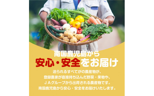 【JA直売所セレクト】6ヵ月定期便！旬鮮野菜・果物セット（12〜14品目）　K072-T01