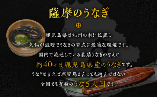 【全12回定期便】薩摩大とろ鰻蒲焼特大サイズ一尾　K190-T04