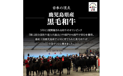 【岩元精肉店】鹿児島県産黒毛和牛ビーフシチューと鹿児島県産黒毛和牛薄切り味噌漬けセット　K045-004