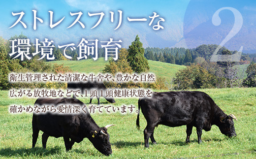鹿児島県産黒毛和牛おまかせ焼肉600g　K208-015