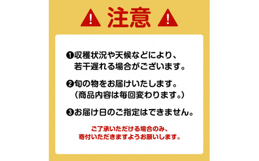 【JA直売所セレクト】6ヵ月定期便！旬鮮野菜・果物セット（12〜14品目）　K072-T01