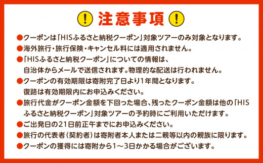 鹿児島県鹿児島市の対象ツアーに使えるHISふるさと納税クーポン 寄附額10,000円　HIS-001