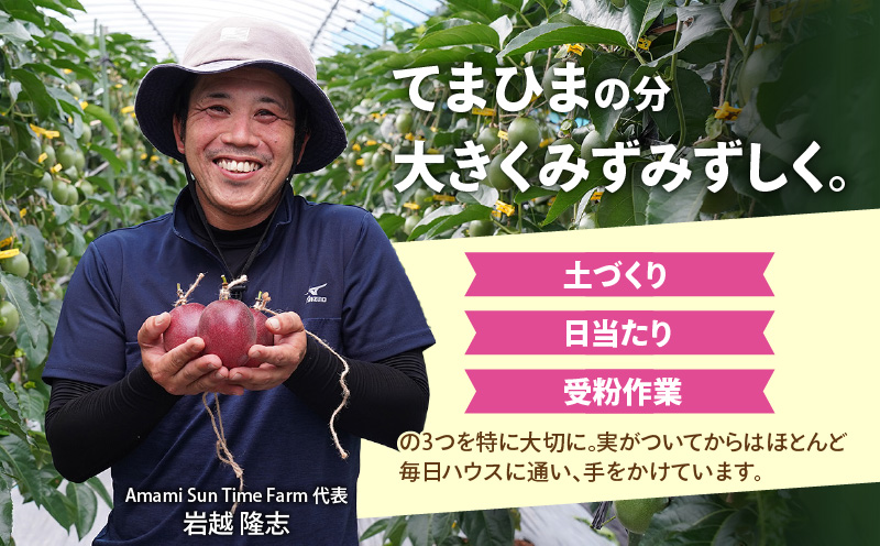 【2026年先行予約分】訳あり！完熟！南の島奄美のパッションフルーツ家庭用 1kg （傷物、色むらあり、サイズ混合）　A151-002-02