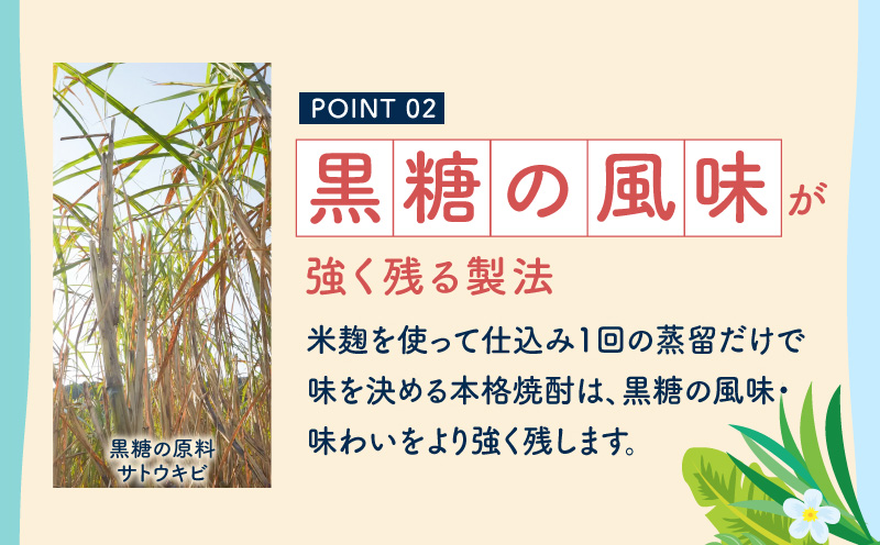 RED CORAL（紅さんごソーダ）350ml×24本　A082-015-03