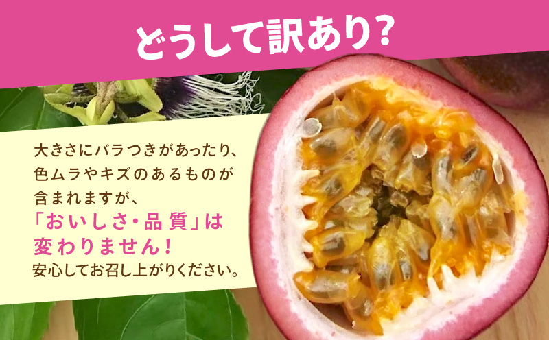 【2026年先行予約分】訳あり！完熟！南の島奄美のパッションフルーツ家庭用 1kg （傷物、色むらあり、サイズ混合）　A151-002-02