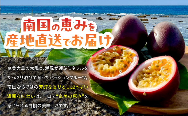 【2026年先行予約】【情熱のタマ】奄美産パッションフルーツ 3.5kg（45玉前後）　A203-001-02