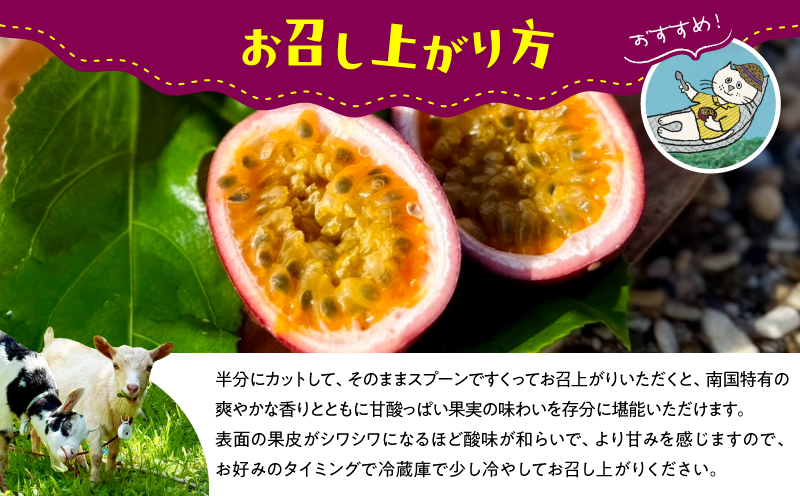 【2026年先行予約】【情熱のタマ】奄美産パッションフルーツ 3.5kg（45玉前後）　A203-001-02