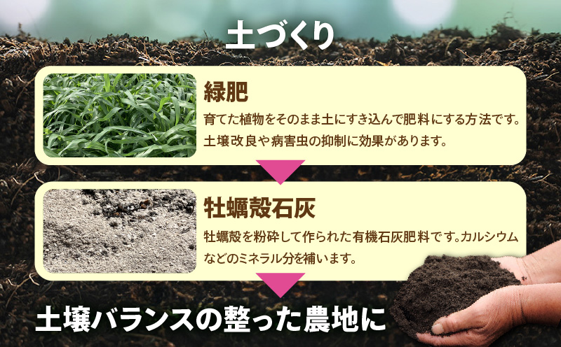 【2026年先行予約分】訳あり！完熟！南の島奄美のパッションフルーツ家庭用 5kg （傷物、色むらあり、サイズ混合）　A151-002-03