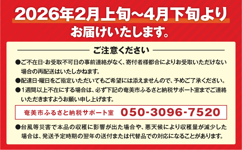 【2026年先行予約】亜熱帯トマト「野生の証明」約800g（約400g×2P）　A021-002-01