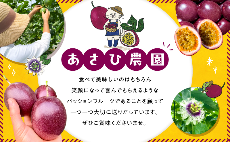 【2026年先行予約】【情熱のタマ】奄美産パッションフルーツ 3.5kg（45玉前後）　A203-001-02