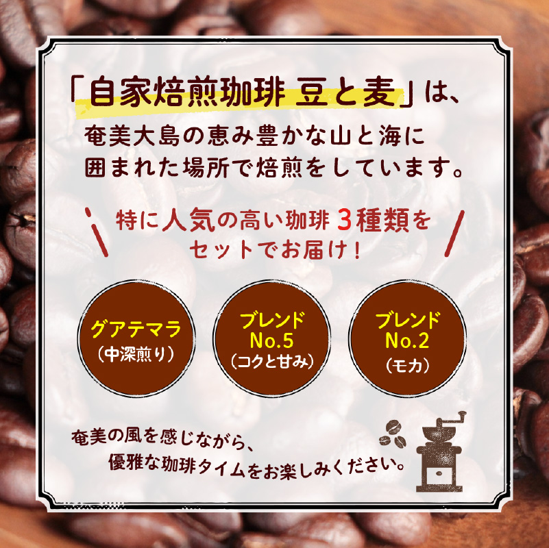 ＜選べる＞【自家焙煎コーヒー】豆と麦 詰め合わせ 3種 各200g セット 【 粉 豆 選べる 】　A017-012