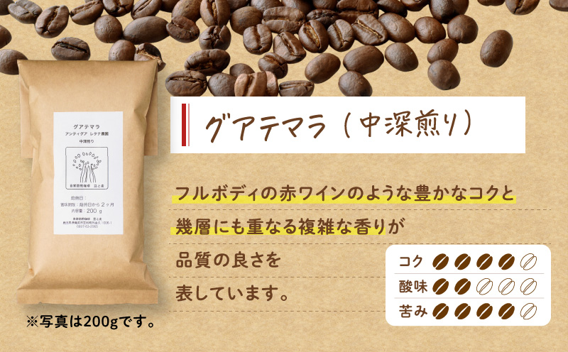 【自家焙煎】豆と麦 グアテマラ（粉） 計400g（200g×2袋）　A017-018-02