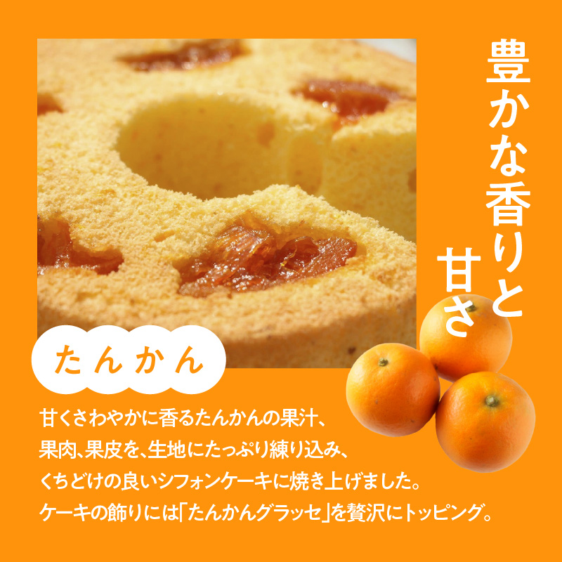 ＜選べる＞奄美のくちどけシフォンケーキ（2種セット/たんかん1個/パッションフルーツ1個）　A003-005