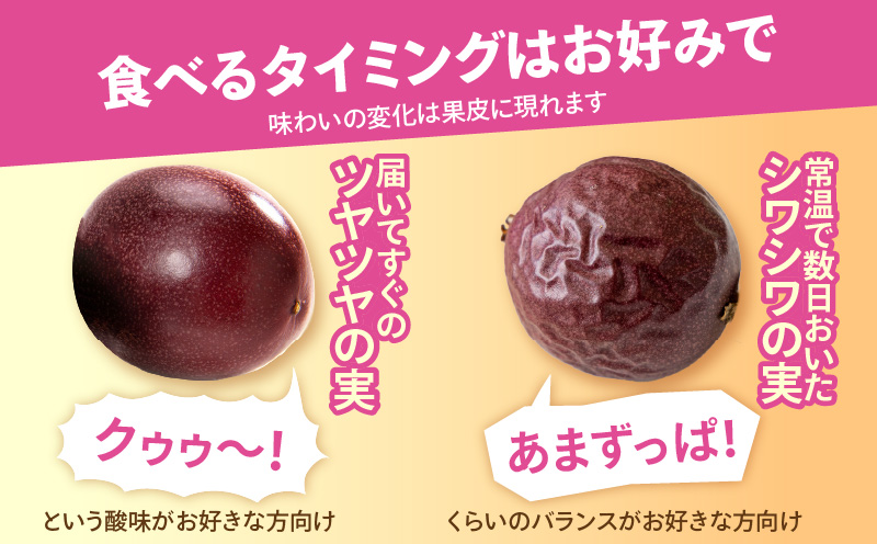 【2026年先行予約分】訳あり！完熟！南の島奄美のパッションフルーツ家庭用 5kg （傷物、色むらあり、サイズ混合）　A151-002-03