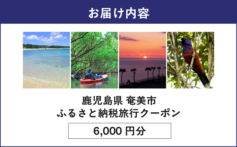 【奄美航空ツーリスト】ふるさと納税旅行クーポン6,000円　A179-FT002