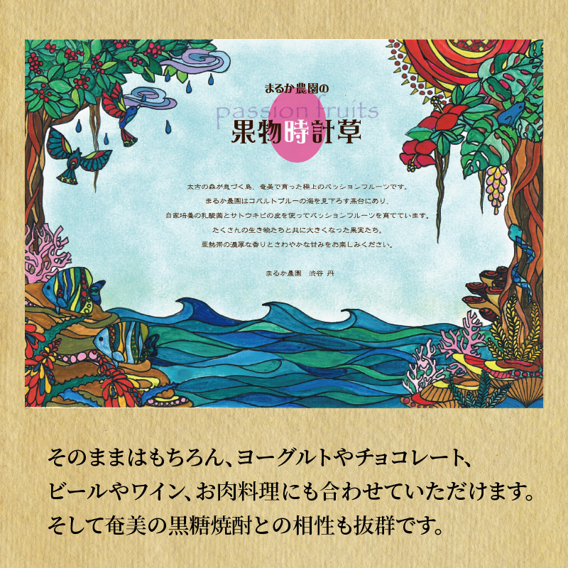 【10月1日価格改定（値上げ）予定】【2024年先行予約分】奄美のパッションフルーツ家庭用2kg - パッションフルーツ 2024 先行予約 2kg 奄美産 農家直送 果物 ビタミン 葉酸 トロピカルフルーツ 南国フルーツ