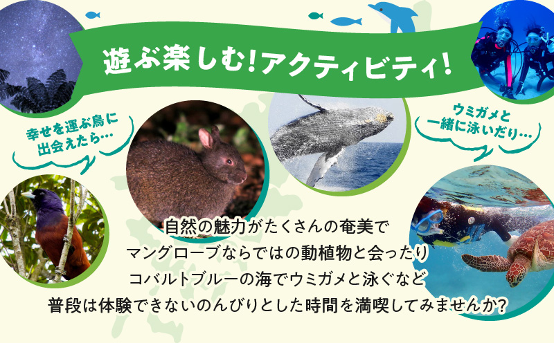 鹿児島県奄美市の対象ツアーに使えるHISふるさと納税クーポン 寄附額100,000円