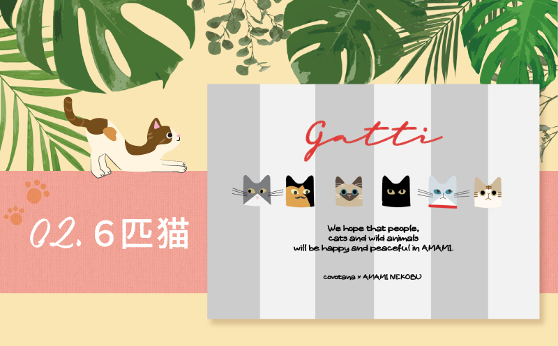 【奄美の保護猫支援（保護猫フード10日分）】＋ポストカード3枚セット　A071-006