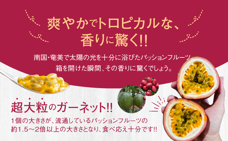 かさりパッションフルーツ ガーネット1kg　A072-007