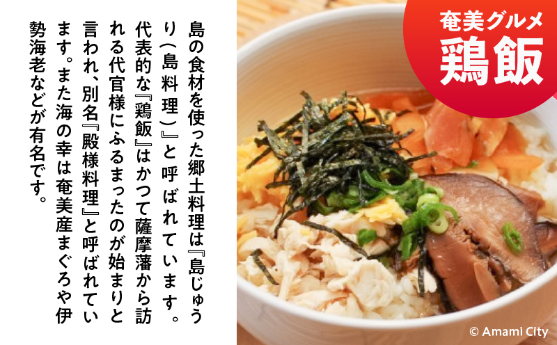 【直行チャーター便ツアーにも使える！】奄美市に泊まるふるさと納税旅行クーポン【9,000円分】　A184-003