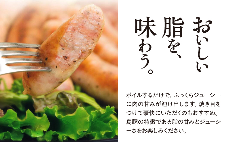 奄美クラフトビール＜2種＞2本セットと奄美島豚あかりんとんソーセージ（3本）　A126-013-01