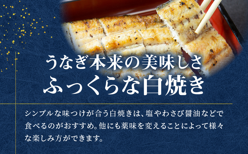 鹿児島県産！老舗うなぎ屋の紅白うなぎ！うなぎのかば焼き2尾（並・100g以上×2パック）・白焼き2尾（並・100g以上）×2パック【贈答用】　A040-011-02