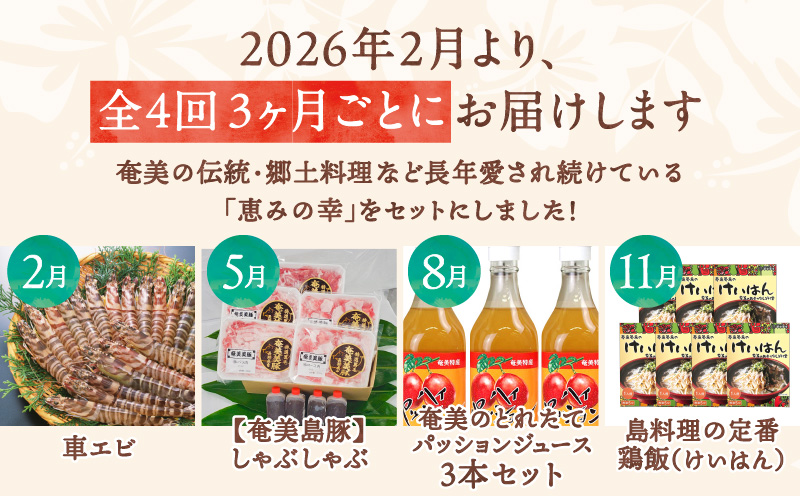 【全4回】奄美のソウルフード定期便　A000-T2403