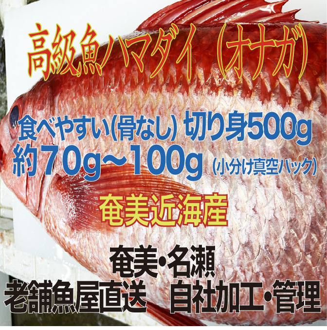 【10月1日価格改定（値上げ）予定】高級魚「ハマダイ(オナガ)」切り身500g（甘塩）奄美大島老舗鮮魚店が加工製造 - 小分け 真空パック ハマダイ 高級魚 オナガ 白身 甘塩