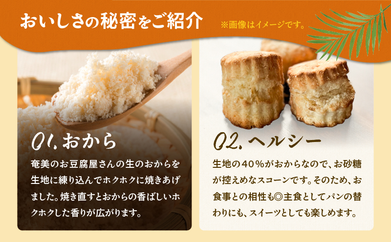 【奄美の保護猫支援（保護猫フード10日分）】＋おからスコーン（プレーン）5個入り　A071-004-01