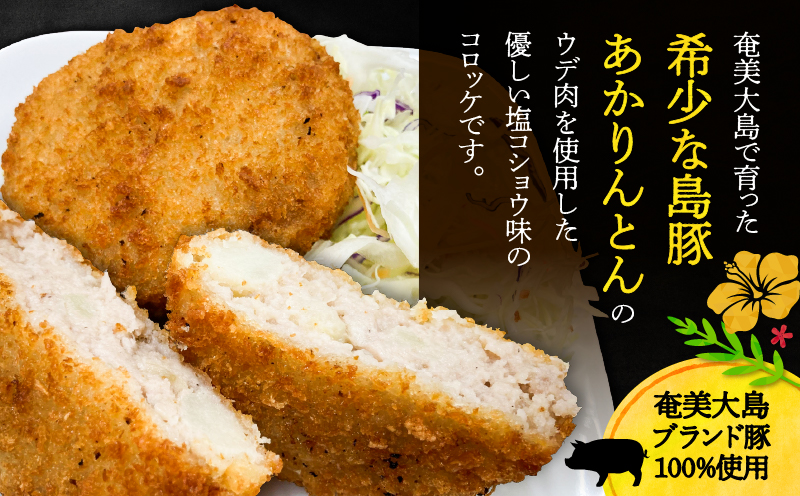 奄美島豚あかりんとんコロッケ【業務用】塩コショウ味　A008-005