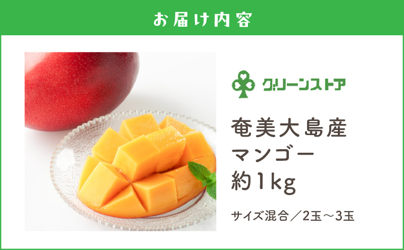 奄美大島産マンゴー約1kg（サイズ混合）　A050-008