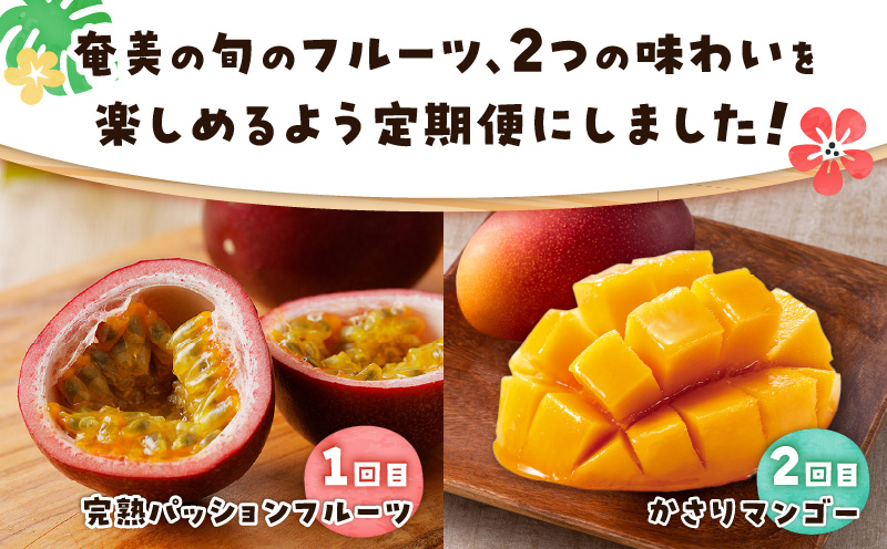 【全2回】厳選！奄美トロピカルフルーツ定期便　A000-T2402