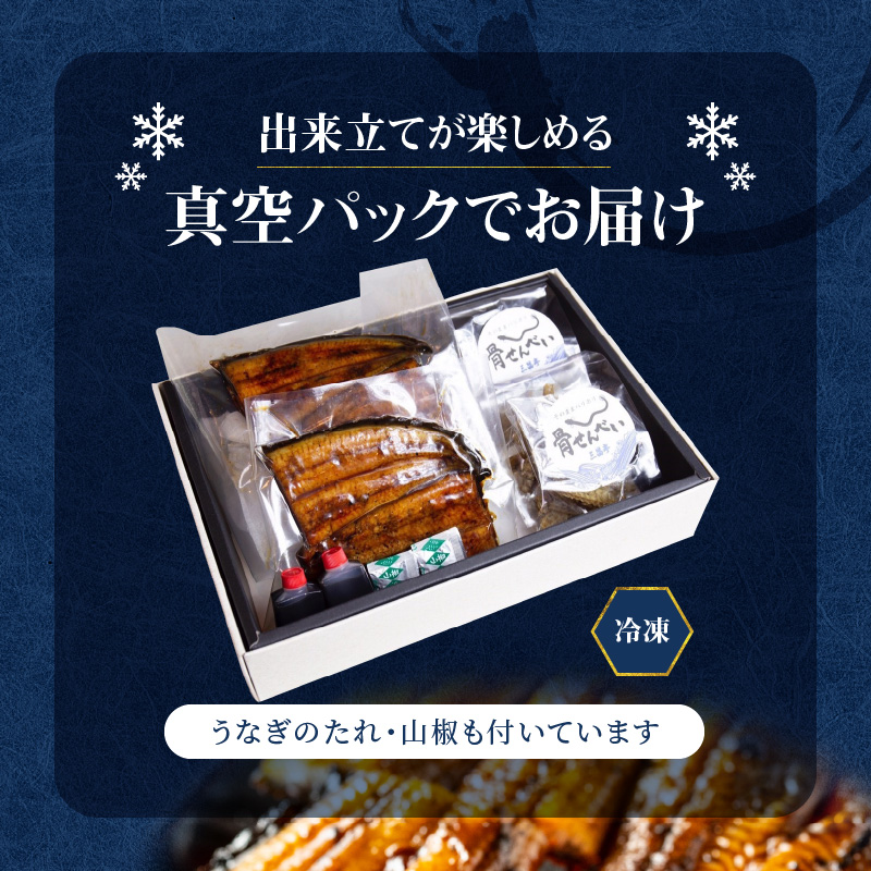 創業１４０年！！老舗うなぎ屋のうなぎのかば焼き2尾と骨せんべいセット - うなぎ かば焼き 100g 2枚 骨せんべい 30g 2袋 セット 真空パック シーフード 加工品 老舗 土用 丑の日