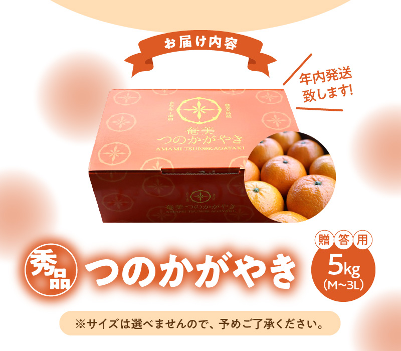 【期間・数量限定！】奄美つのかがやき＜秀品＞化粧箱 5kg （満杯詰め）3L〜Mサイズ【贈答用】　A070-006