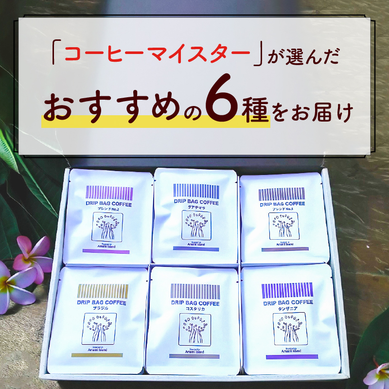 【10月1日価格改定（値上げ）予定】コーヒードリップバッグ詰め合わせ（6種類×4パック入）各12g入