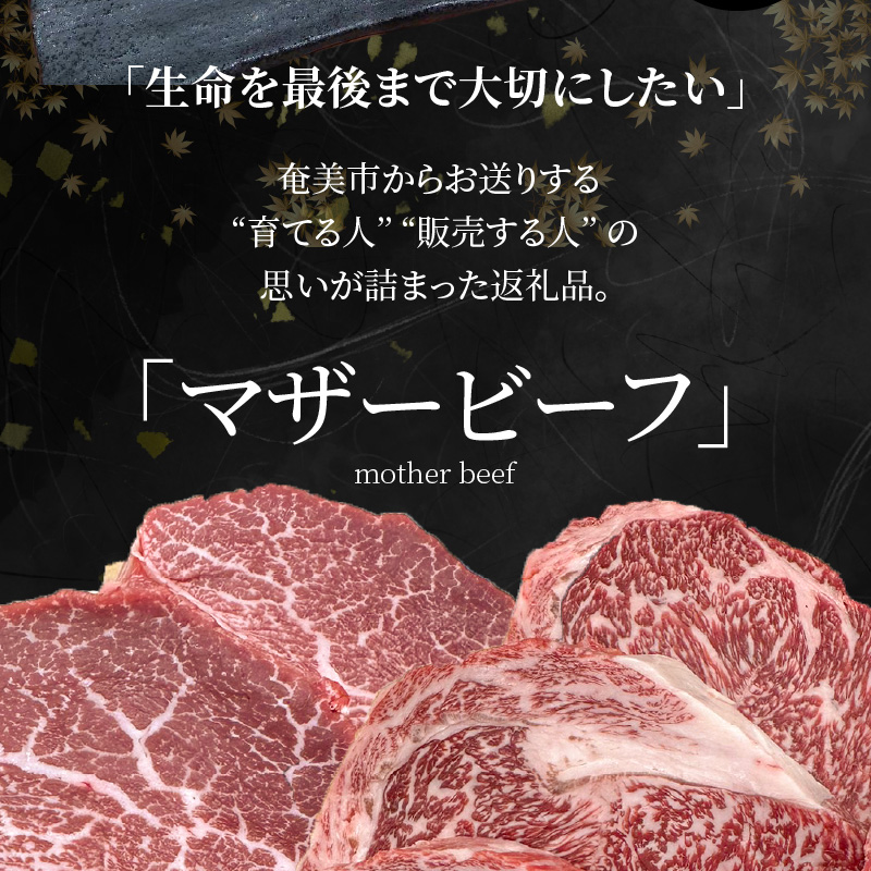 奄美マザービーフ　　ヒレ＆ロース カットステーキ - 牛肉 奄美マザービーフ ロース カット ステーキ 鹿児島黒牛 マザービーフ 国産 内閣総理大臣賞受賞 お取り寄せグルメ 鹿児島県 奄美市