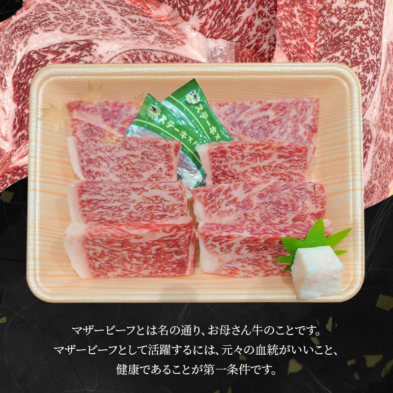 奄美マザービーフ　ロースカットステーキ - 牛肉 奄美マザービーフ ヒレ ロース ステーキ 鹿児島黒牛 マザービーフ ステーキ カット 国産 内閣総理大臣賞受賞 お取り寄せグルメ