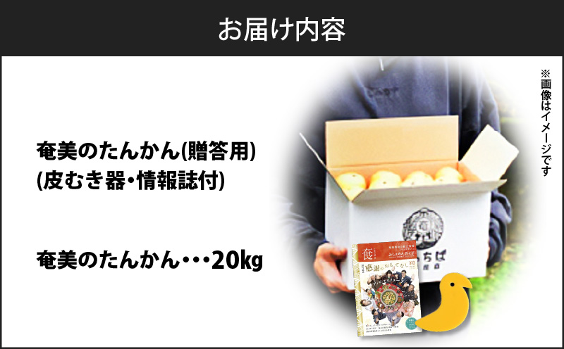 【2025年先行予約】奄美のたんかん贈答用20kg（皮むき器・情報誌付）　A052-024-02