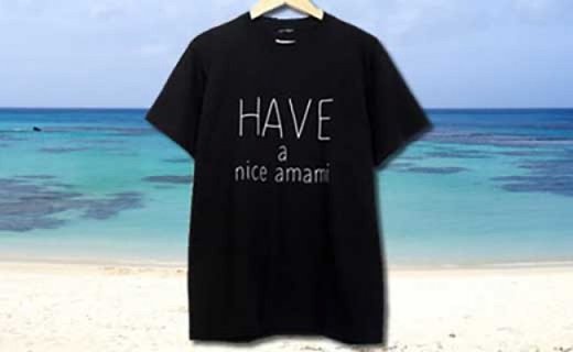 【10月1日価格改定（値上げ）予定】Have a nice amami 半袖Tシャツ（ブラック）