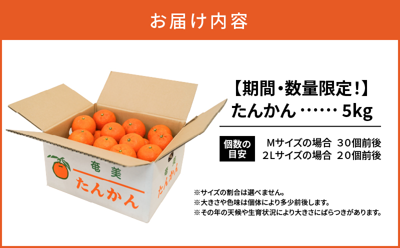 【10月1日価格改定（値上げ）予定】【先行予約】たんかん5kg　A021-027