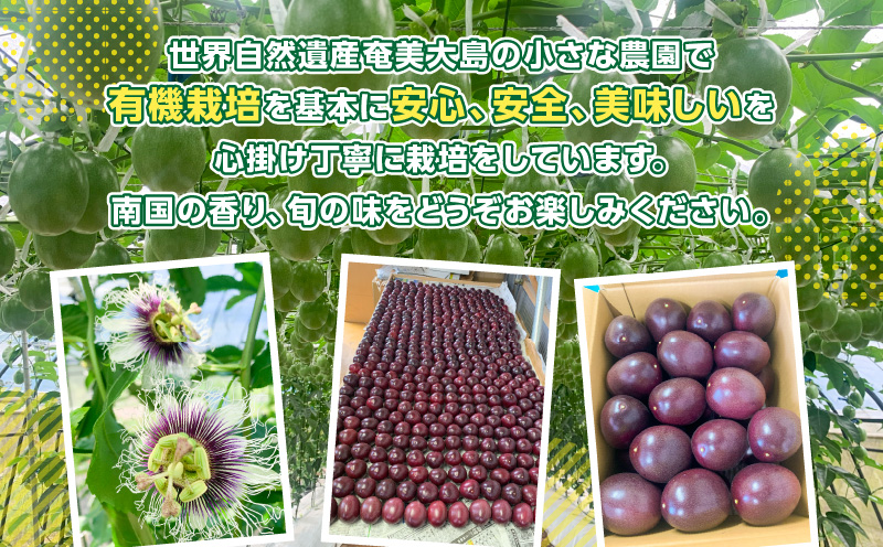 農家直送パッションフルーツ 2.5kg箱 家庭用（サイズ混合）　A201-001