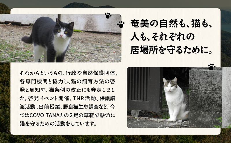 【奄美の保護猫支援（保護猫フード10日分）】＋ポストカード＆クリアファイルセット　A071-008