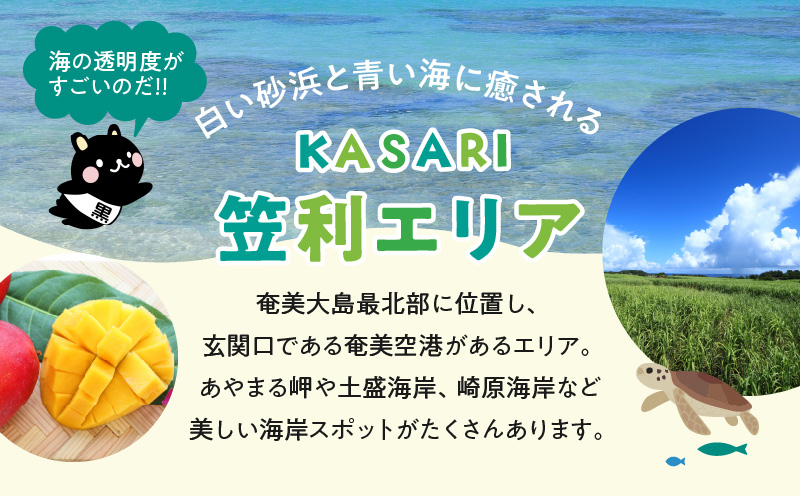 鹿児島県奄美市の対象ツアーに使えるHISふるさと納税クーポン 寄附額20,000円