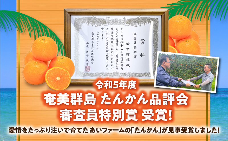 【2025年先行予約分】【高地栽培】産地直送☆甘～い奄美たんかん5kg　A054-001