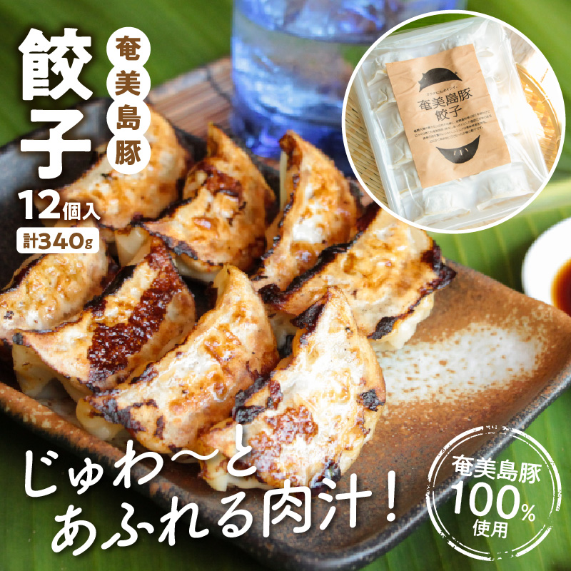 【奄美鶏飯】と【奄美島豚】餃子・ハンバーグのセット　A011-004