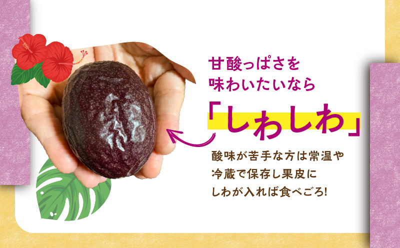パッションフルーツ 家庭用 約1kg　A194-001-01